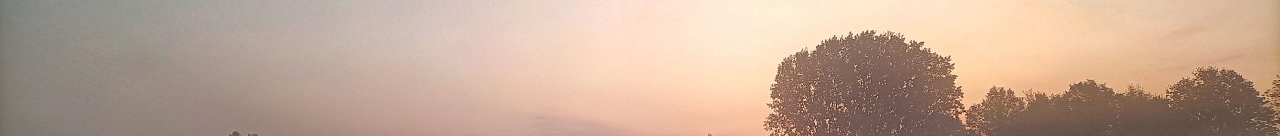 Foto van Slagenlandschap Dauw in Rijswijk